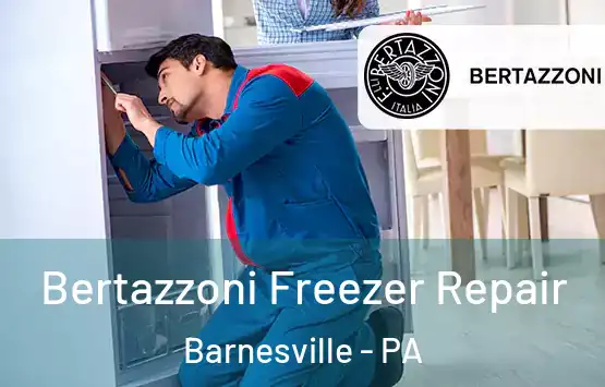  Bertazzoni Freezer Repair Barnesville - PA