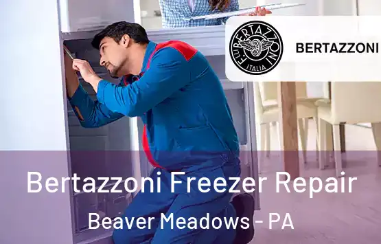  Bertazzoni Freezer Repair Beaver Meadows - PA