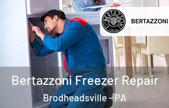  Bertazzoni Freezer Repair Brodheadsville - PA