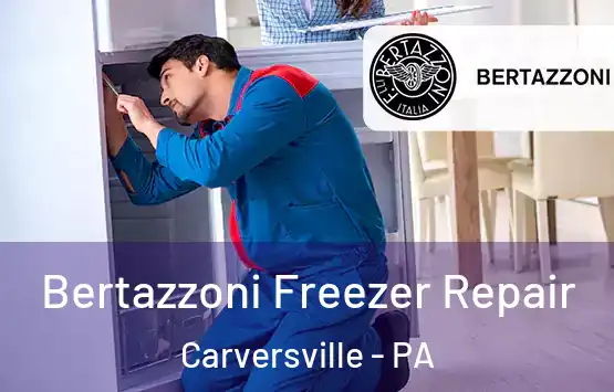  Bertazzoni Freezer Repair Carversville - PA