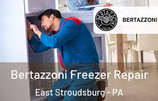  Bertazzoni Freezer Repair East Stroudsburg - PA