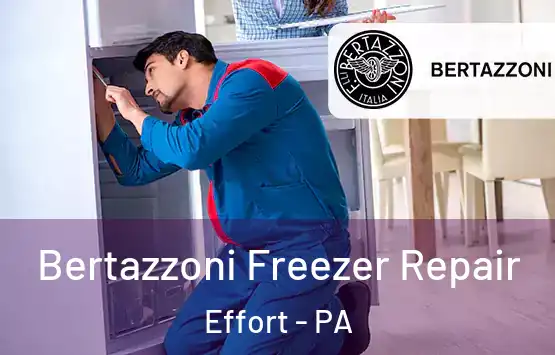  Bertazzoni Freezer Repair Effort - PA