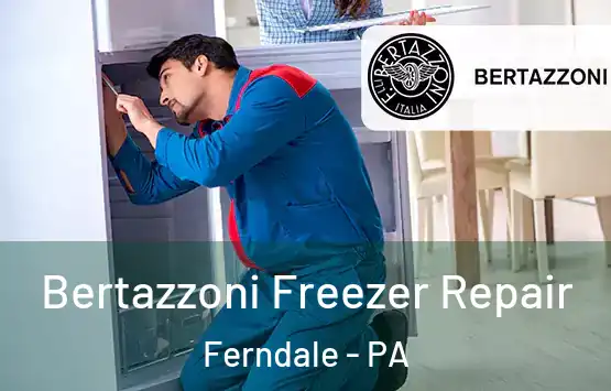  Bertazzoni Freezer Repair Ferndale - PA