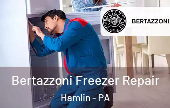  Bertazzoni Freezer Repair Hamlin - PA