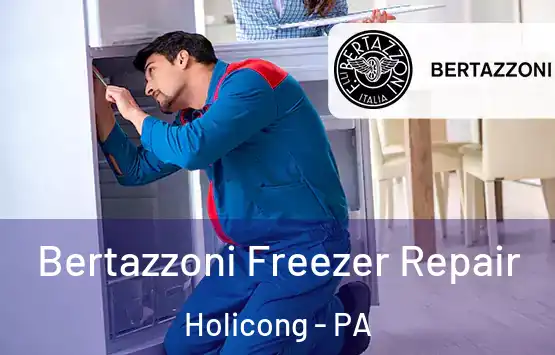  Bertazzoni Freezer Repair Holicong - PA