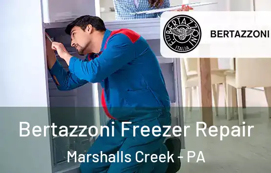  Bertazzoni Freezer Repair Marshalls Creek - PA