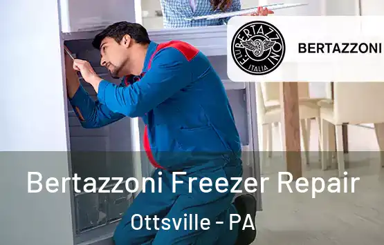  Bertazzoni Freezer Repair Ottsville - PA