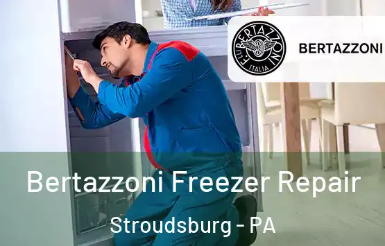  Bertazzoni Freezer Repair Stroudsburg - PA