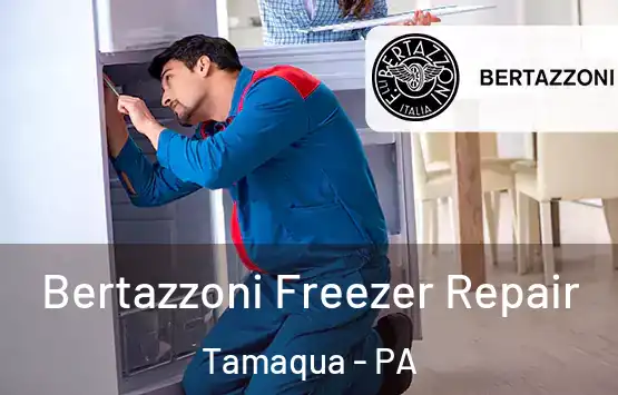  Bertazzoni Freezer Repair Tamaqua - PA