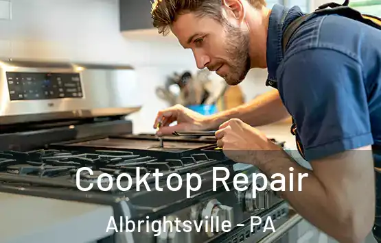  Cooktop Repair Albrightsville - PA