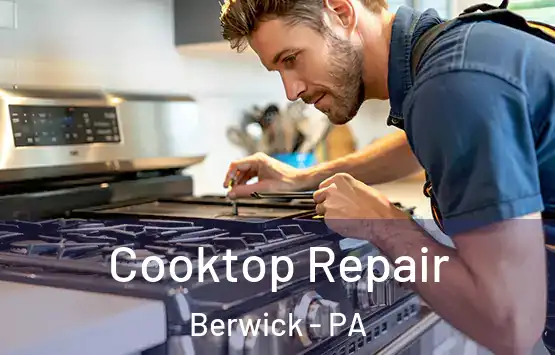  Cooktop Repair Berwick - PA
