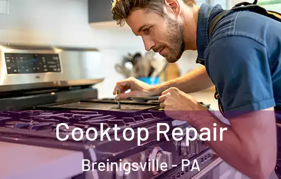  Cooktop Repair Breinigsville - PA