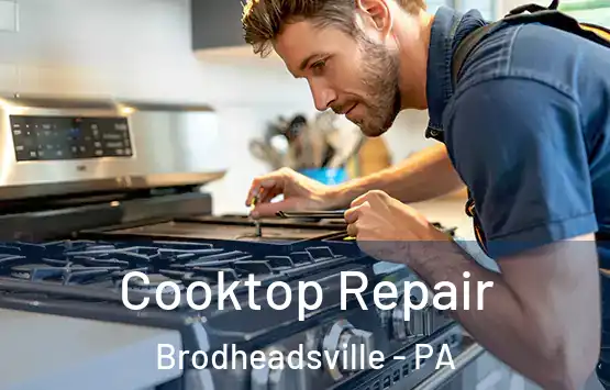  Cooktop Repair Brodheadsville - PA