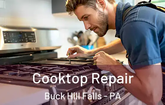  Cooktop Repair Buck Hill Falls - PA
