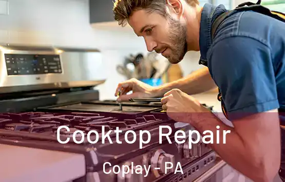  Cooktop Repair Coplay - PA