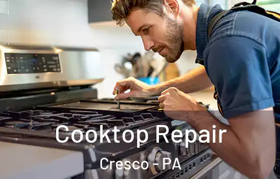  Cooktop Repair Cresco - PA
