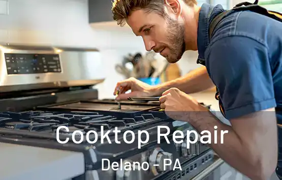 Cooktop Repair Delano - PA