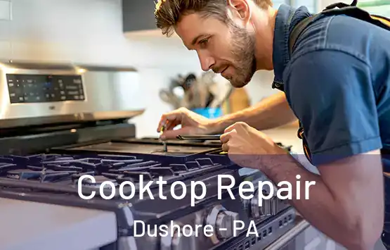  Cooktop Repair Dushore - PA