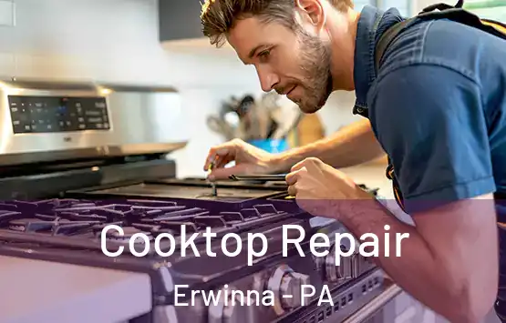  Cooktop Repair Erwinna - PA