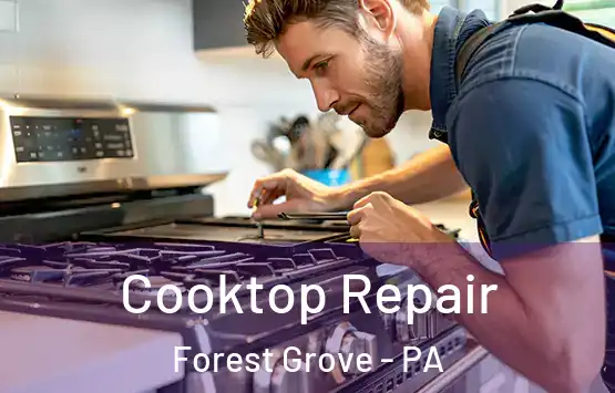  Cooktop Repair Forest Grove - PA