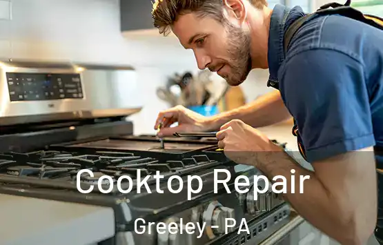  Cooktop Repair Greeley - PA