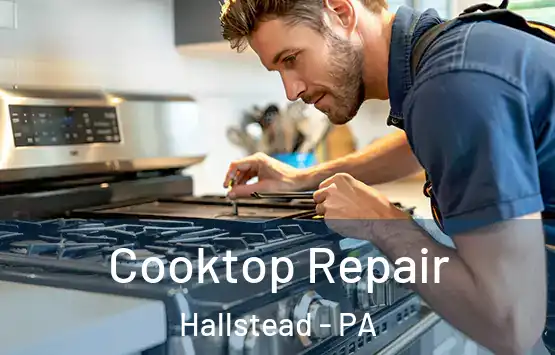  Cooktop Repair Hallstead - PA