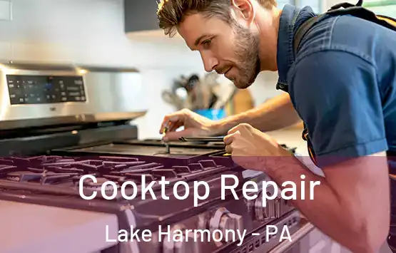  Cooktop Repair Lake Harmony - PA