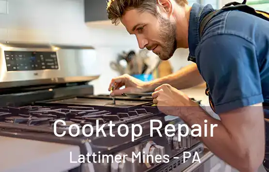  Cooktop Repair Lattimer Mines - PA