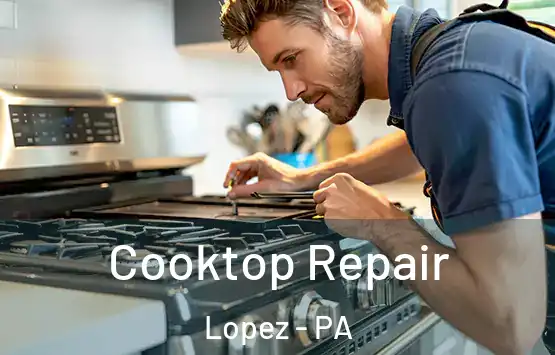  Cooktop Repair Lopez - PA