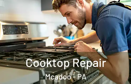  Cooktop Repair Mcadoo - PA