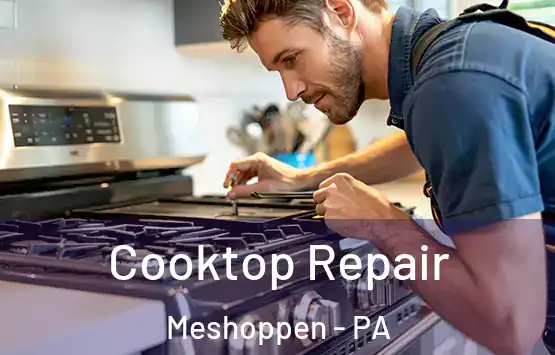  Cooktop Repair Meshoppen - PA