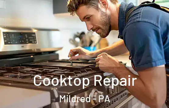  Cooktop Repair Mildred - PA
