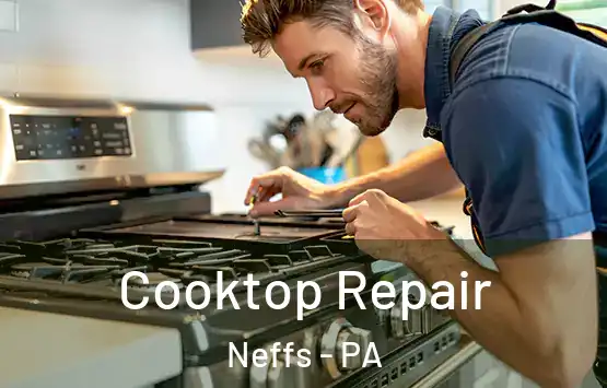  Cooktop Repair Neffs - PA