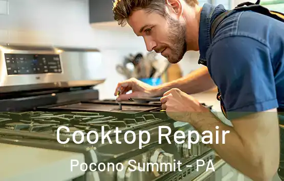 Cooktop Repair Pocono Summit - PA