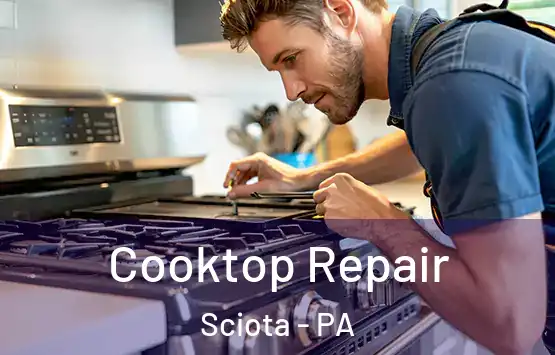  Cooktop Repair Sciota - PA