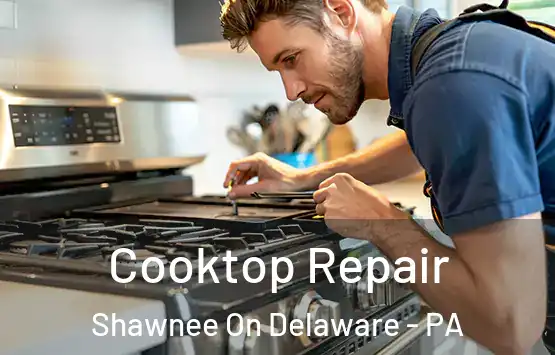  Cooktop Repair Shawnee On Delaware - PA