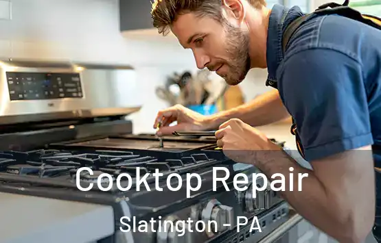 Cooktop Repair Slatington - PA