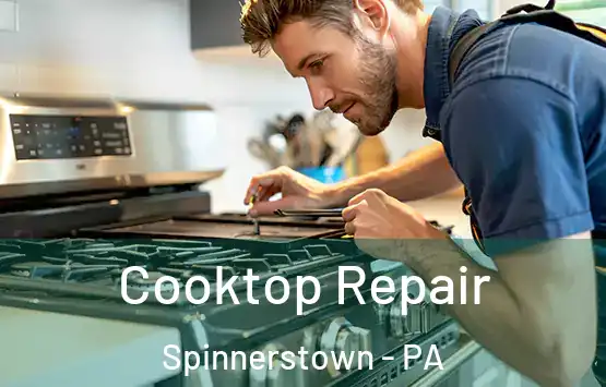  Cooktop Repair Spinnerstown - PA
