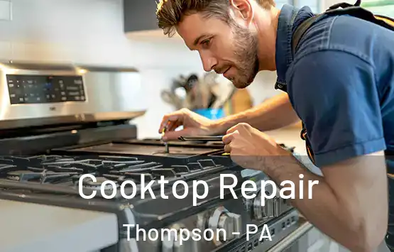  Cooktop Repair Thompson - PA