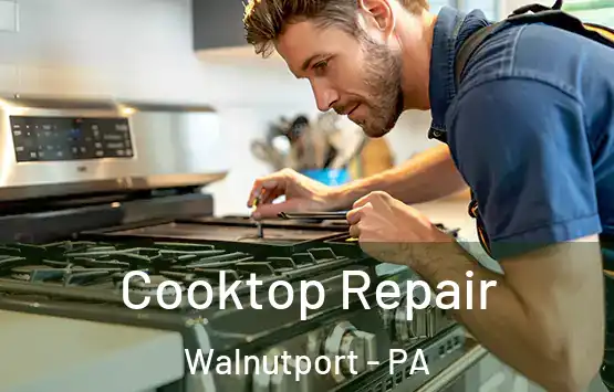  Cooktop Repair Walnutport - PA