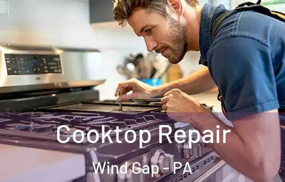  Cooktop Repair Wind Gap - PA