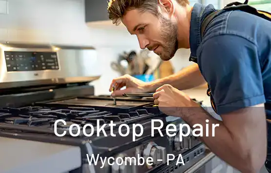  Cooktop Repair Wycombe - PA