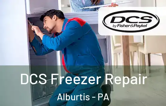  DCS Freezer Repair Alburtis - PA