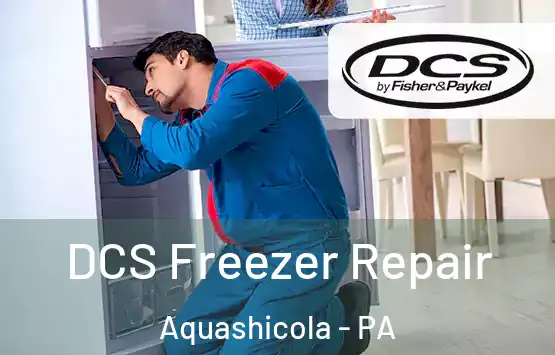  DCS Freezer Repair Aquashicola - PA