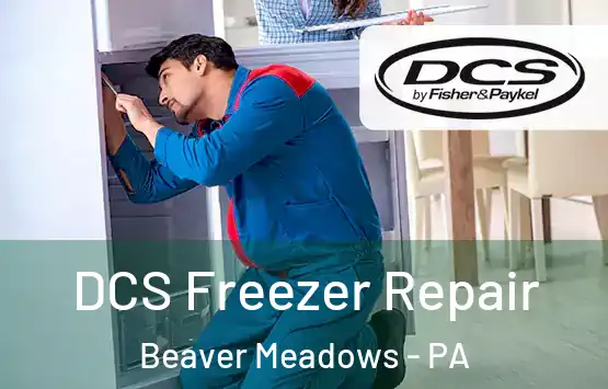  DCS Freezer Repair Beaver Meadows - PA