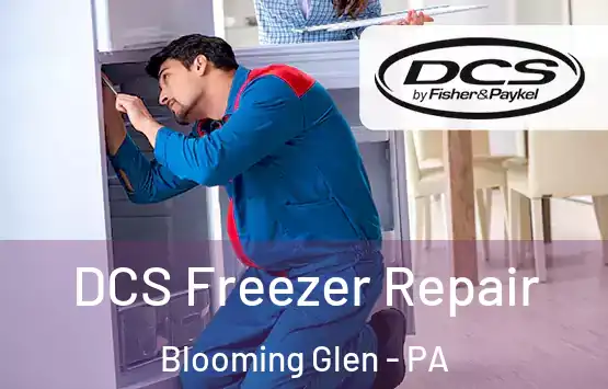  DCS Freezer Repair Blooming Glen - PA