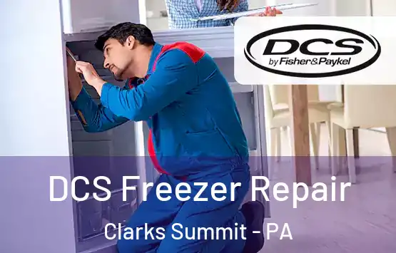  DCS Freezer Repair Clarks Summit - PA