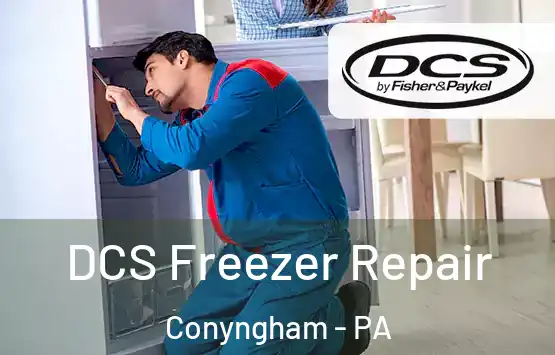  DCS Freezer Repair Conyngham - PA