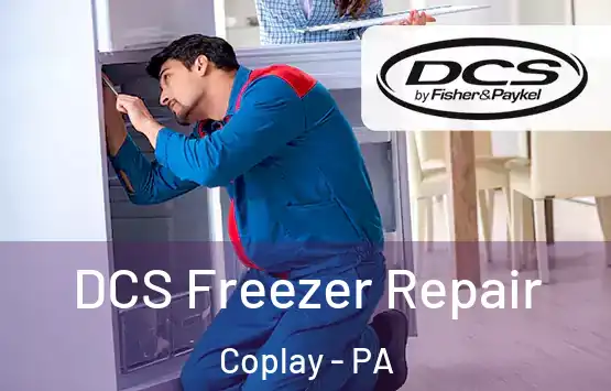  DCS Freezer Repair Coplay - PA