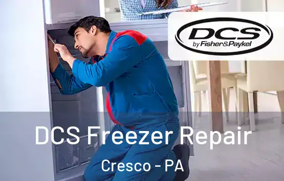  DCS Freezer Repair Cresco - PA